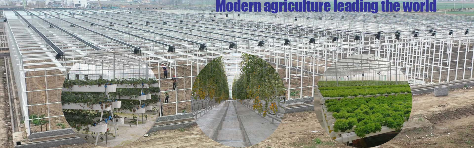 veolo greenhouse