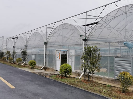 agri greenhouse