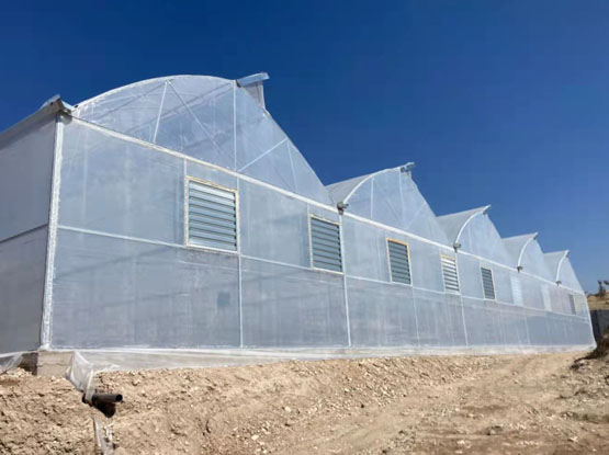 film greenhouse