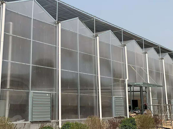 polycarbonate greenhouse