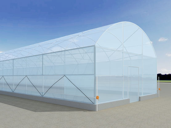 single greenhouse