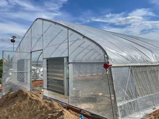 Tunnel greenhouse