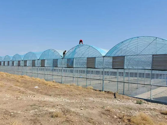 Agricultural  greenhouse