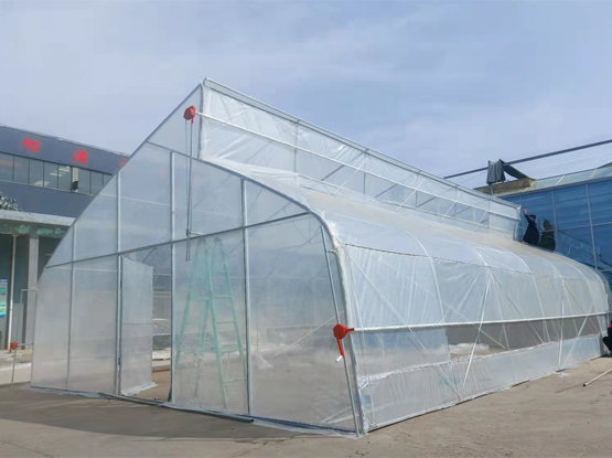 sunsgreenhouse suit rainy season greenhouse