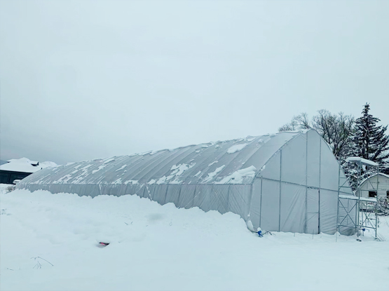 suit bigger snow area greenhouse