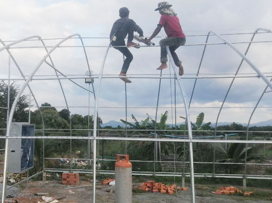 Cambodia greeenhouse for hydroponics